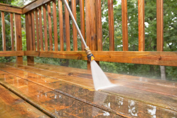 Best Gutter Cleaning  in Wolverine Lake, MI
